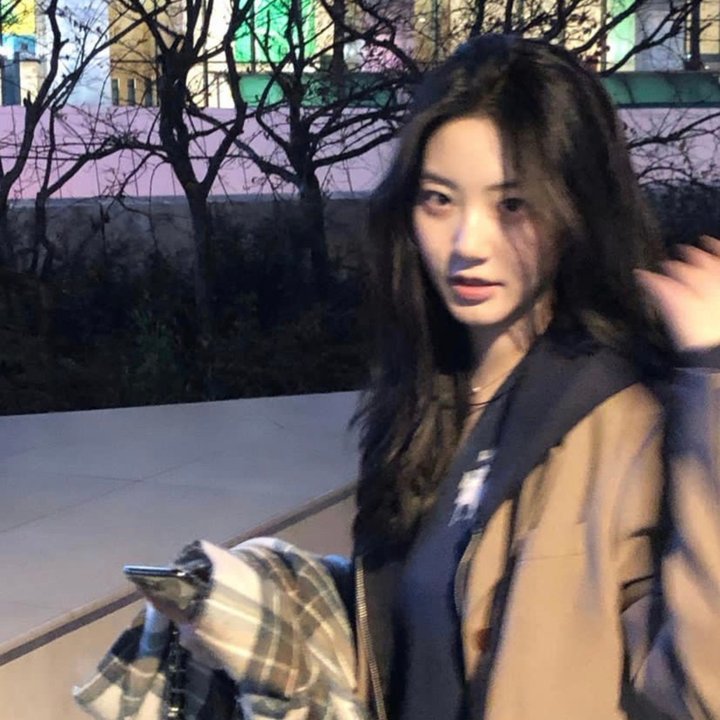 爱与梦飞翔